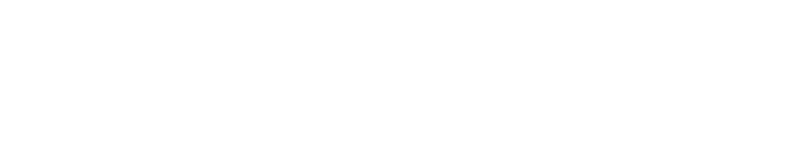 スペシャルプログラム（1day･3days）