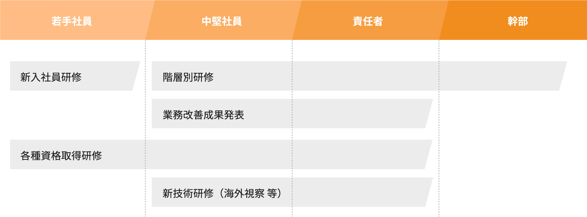 入社後の教育プログラム