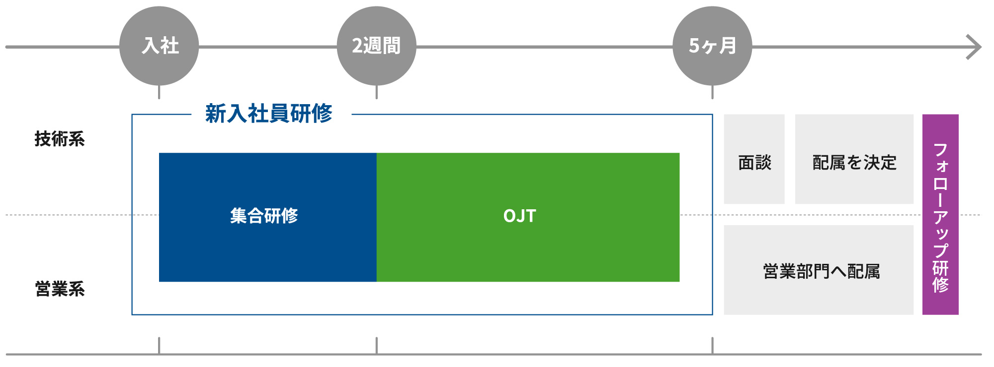 入社後の教育プログラム